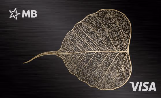 MB Visa Hi Collection Kim loại