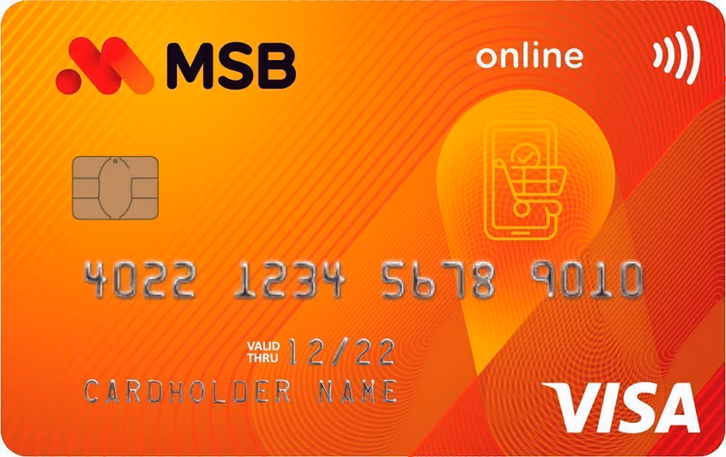 MSB Visa Online